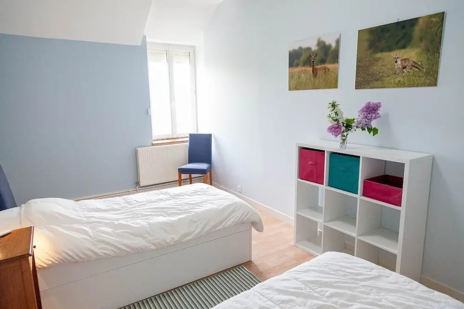 Château de Joyeux - Gîtes