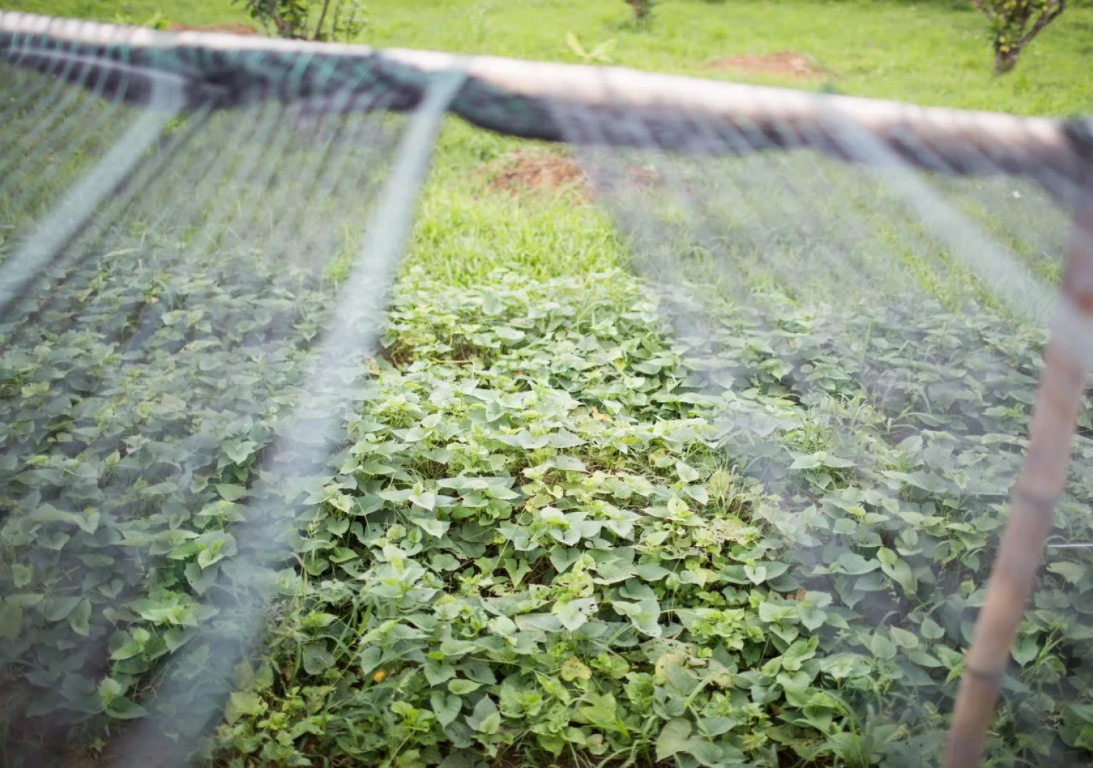 Hue Riverside Boutique Resort & Spa