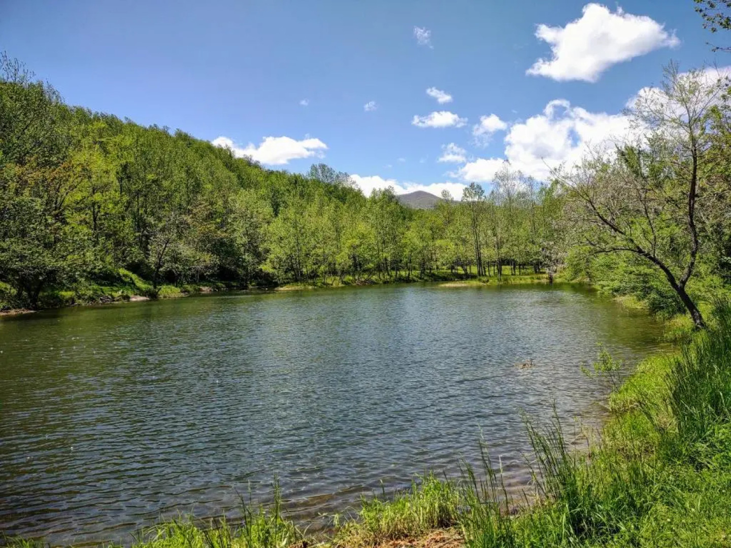 Graves Mountain Farm & Lodges