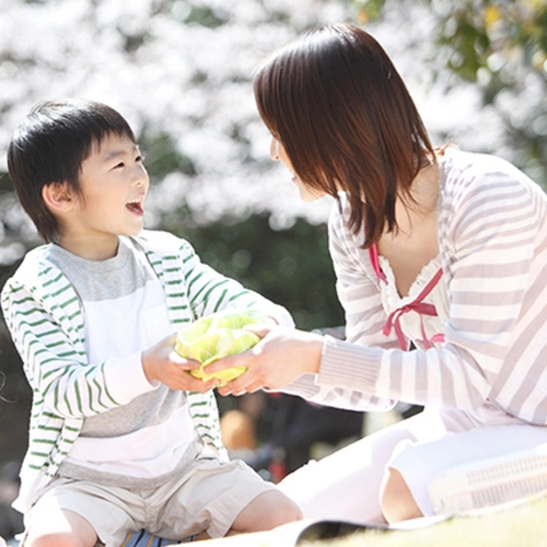 Minokamo Station Hotel