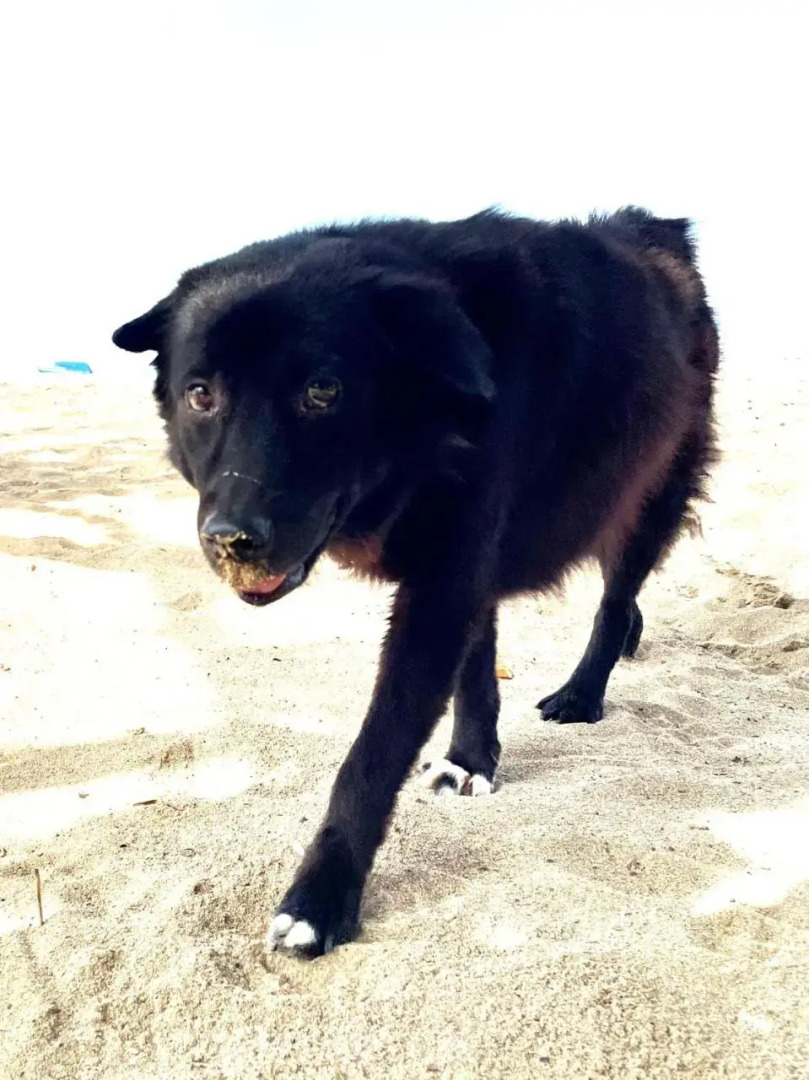 Shady Grove Healing Centre and Homestay