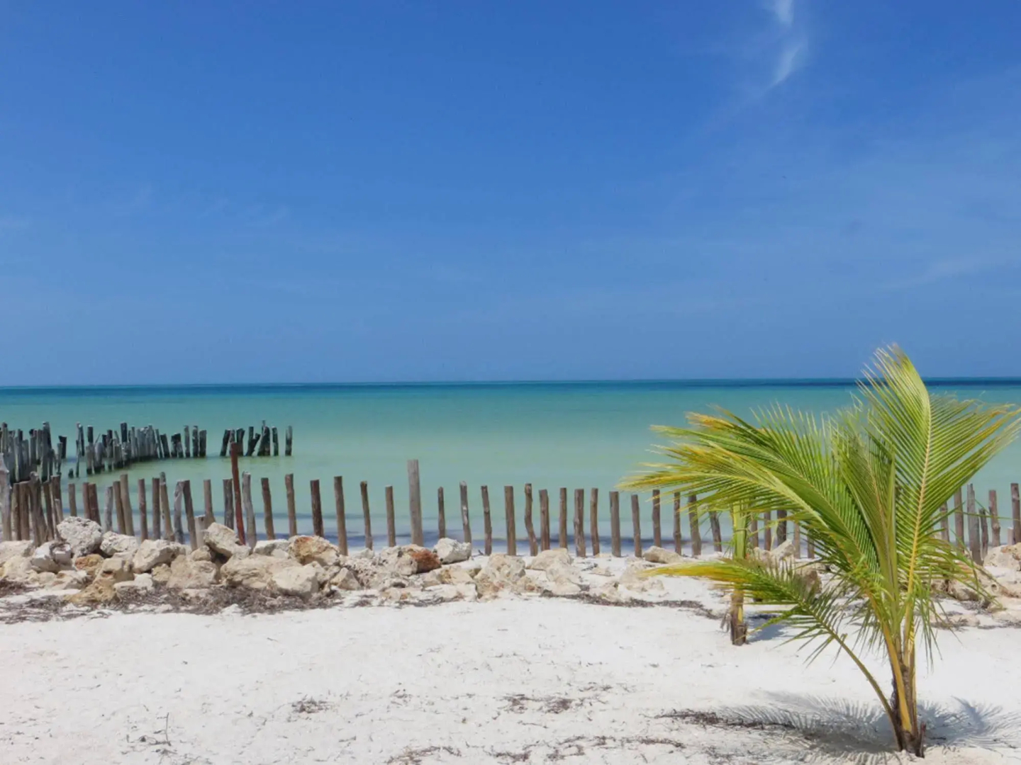 Golden Paradise Beach