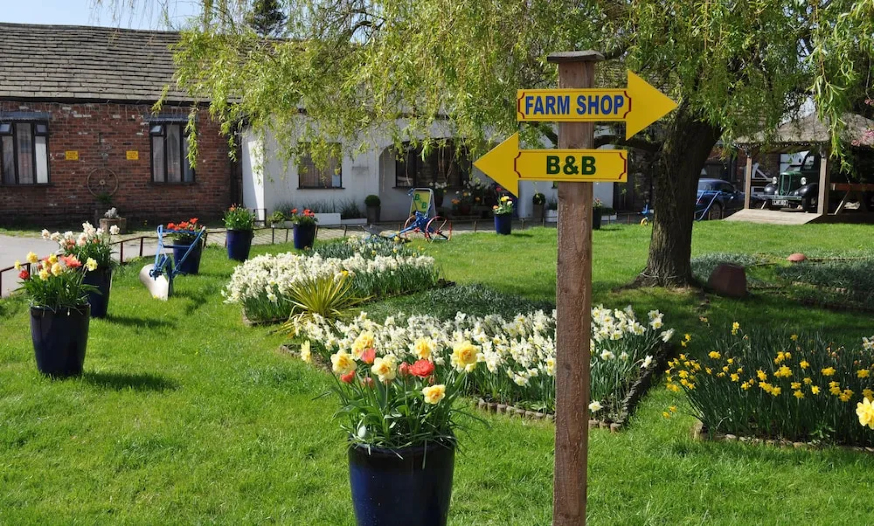 Model Farm Bed & Breakfast