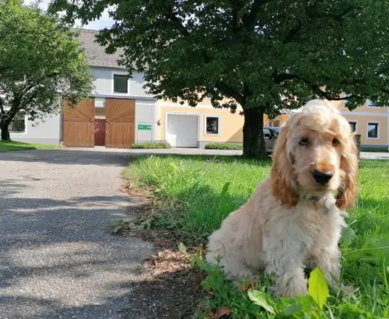Bauernhof Pension Peterseil