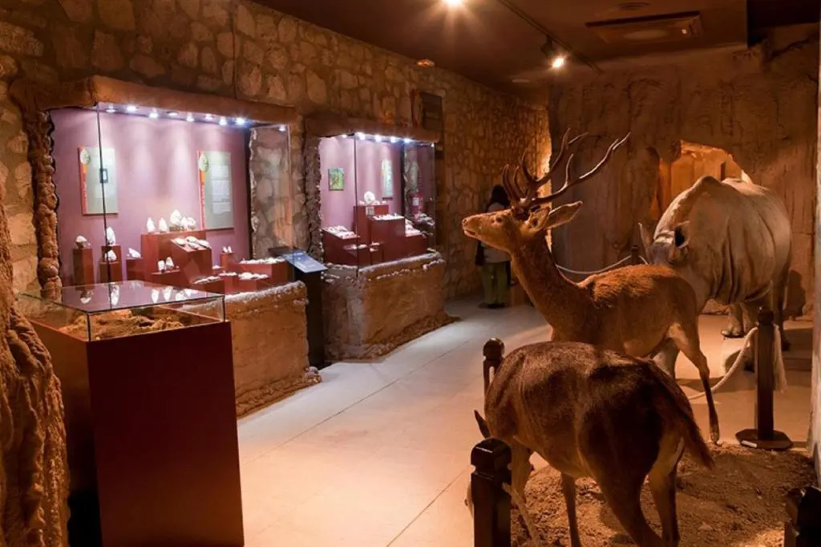 Apartment Lucena Park