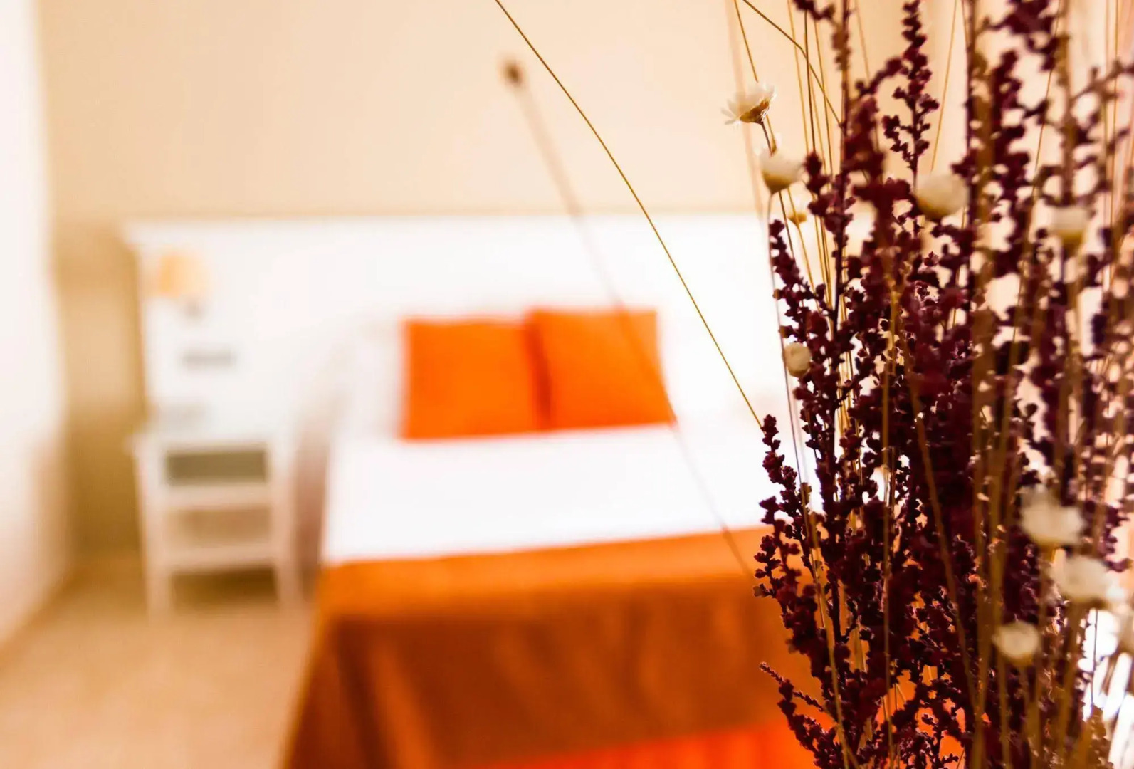 Hotel Pradillo Conil