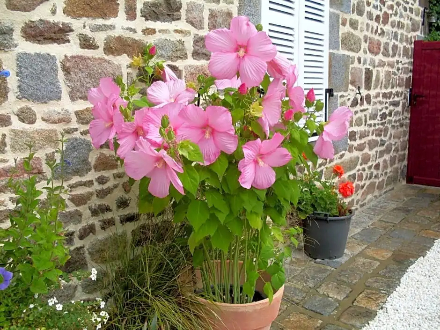 Chambres d'Hôtes de la Barrerie