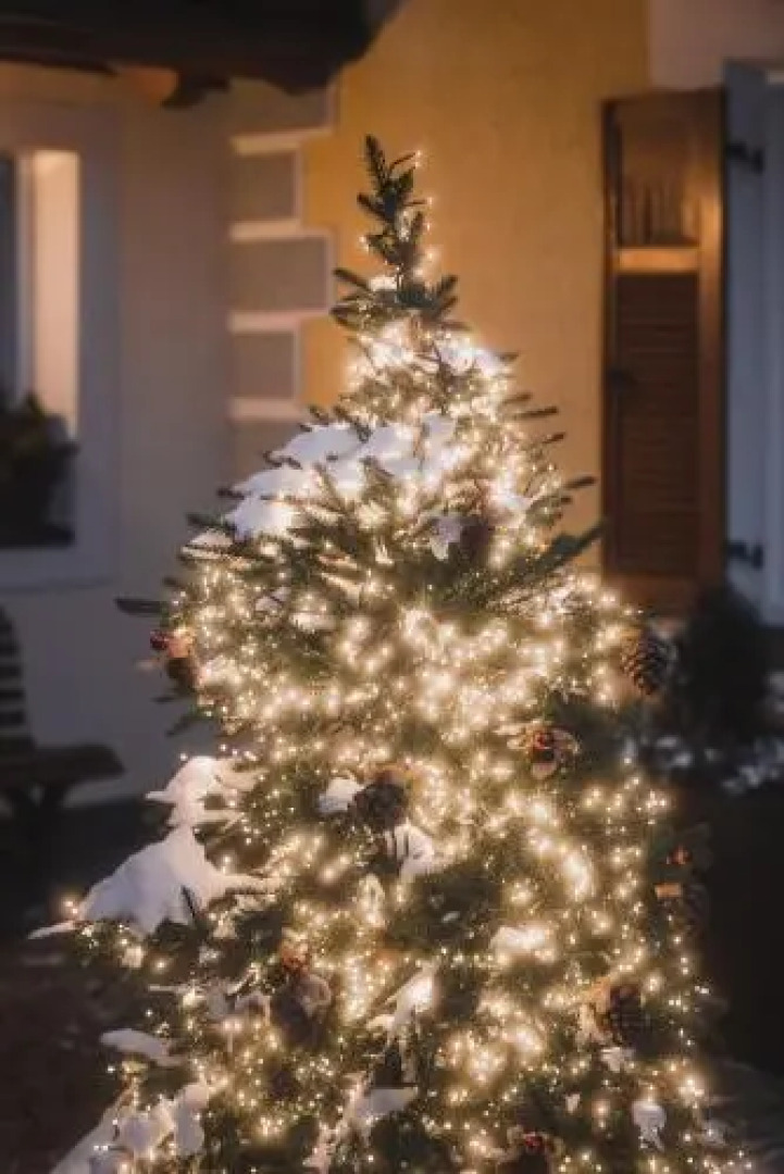 Hotel Villa Waldheim