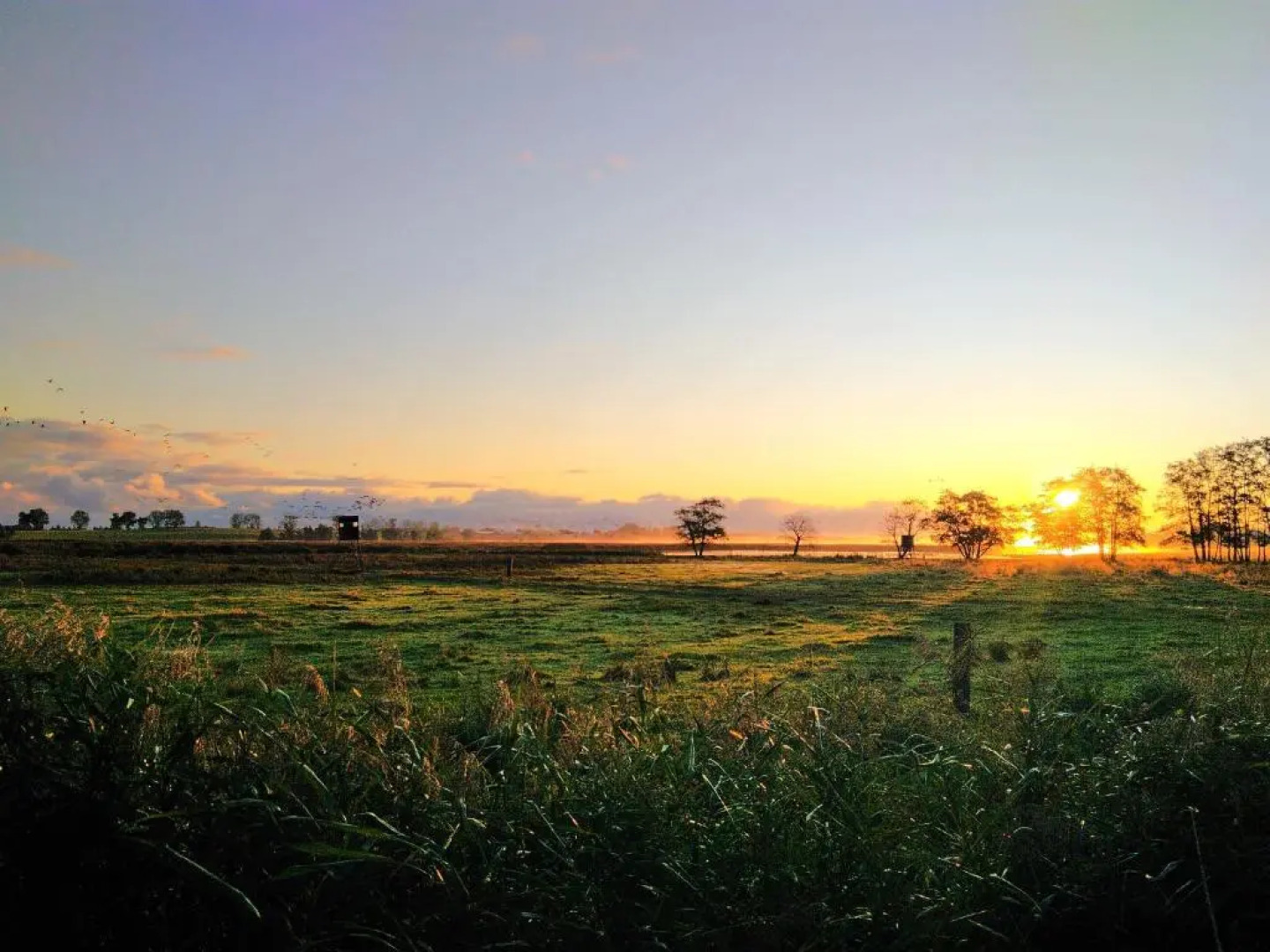 Landhaus Kranichgrund