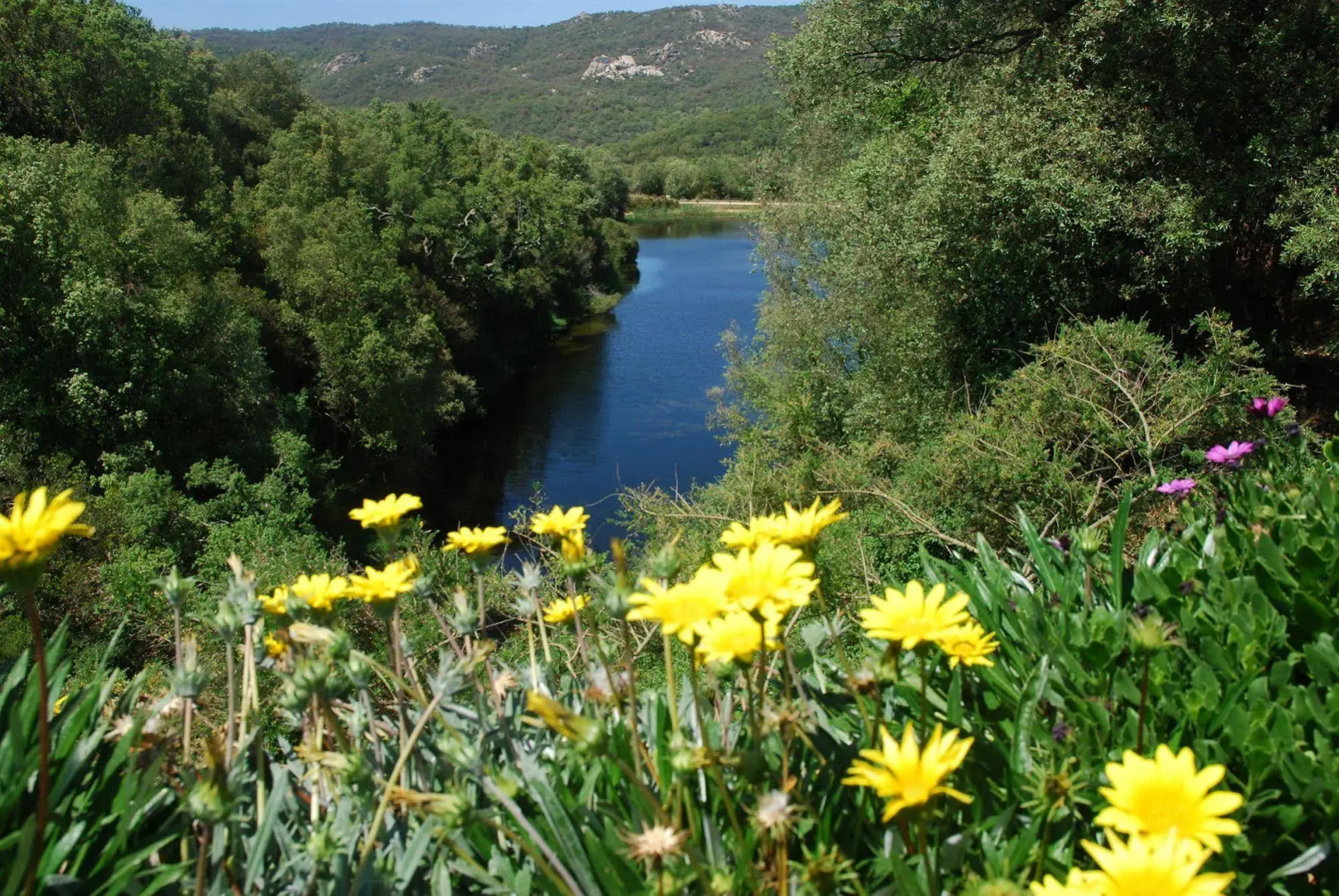 LAgnata di De André