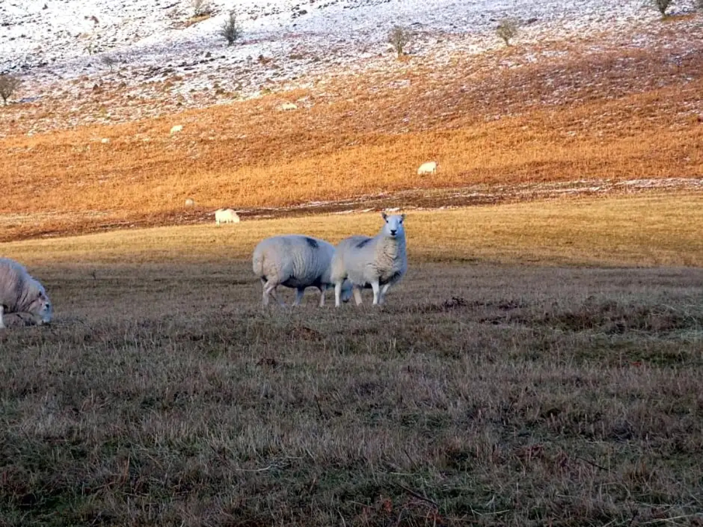 The Farmers Arms, Cwmdu
