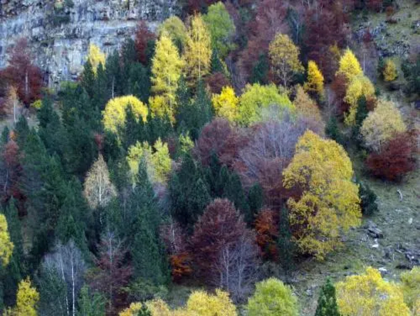 Camping El Jabalí Blanco