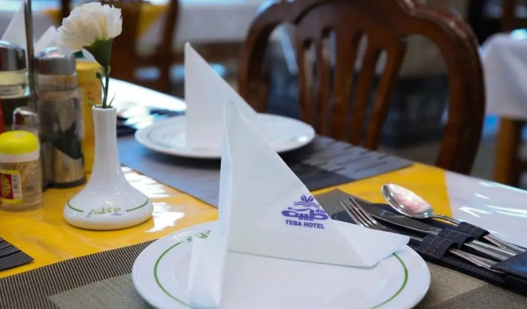 Teba hotel Ras El Bar