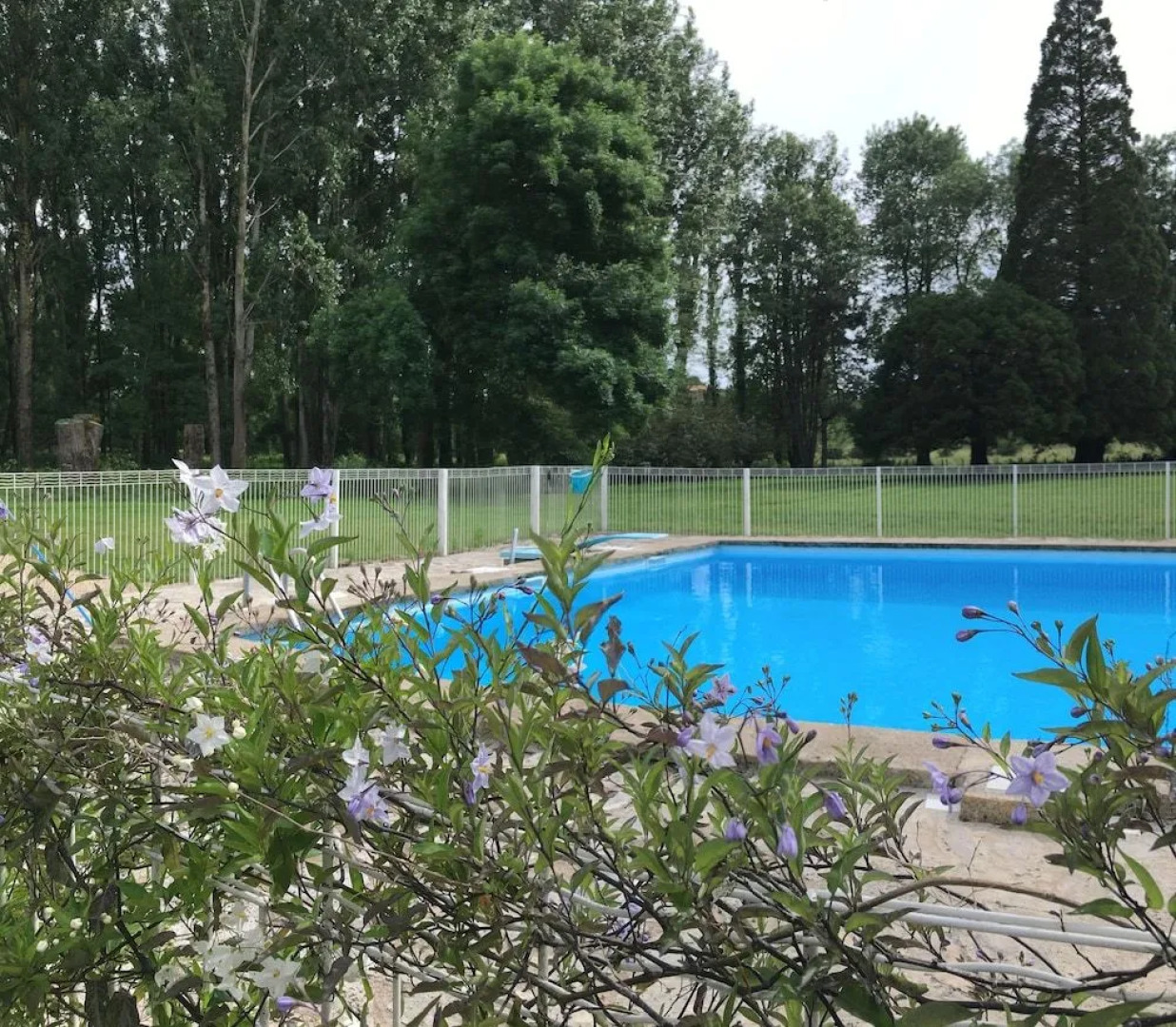 Echo D'eau Host & Coach