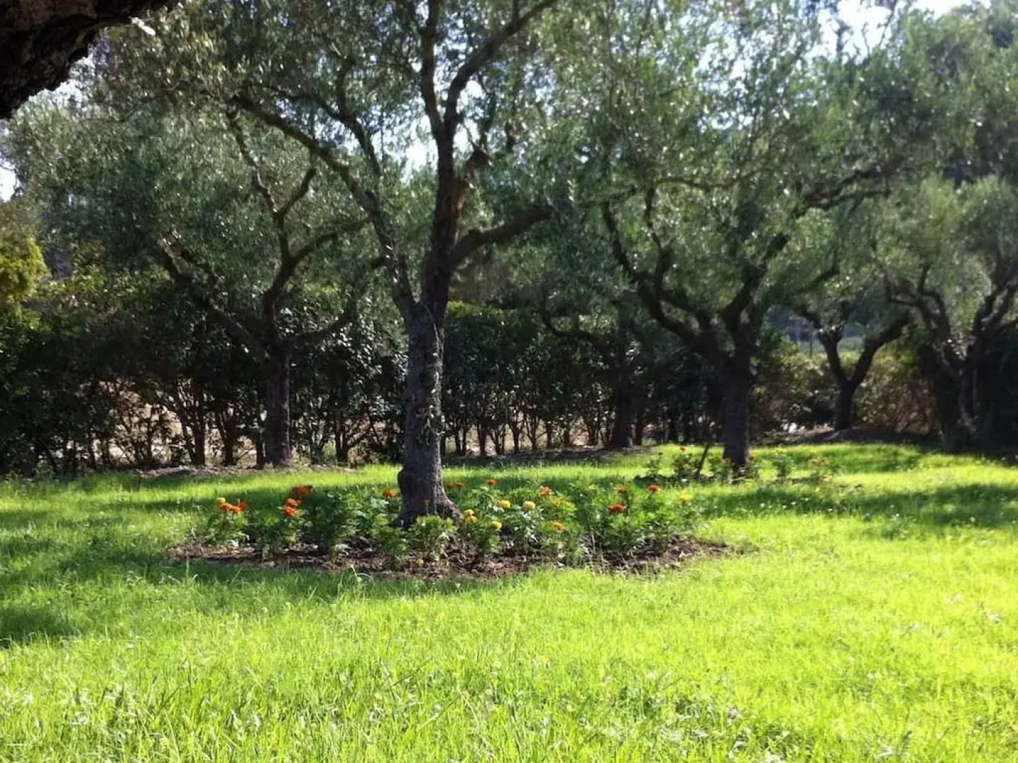 Villa Zeza - The Ultimate Family Villa