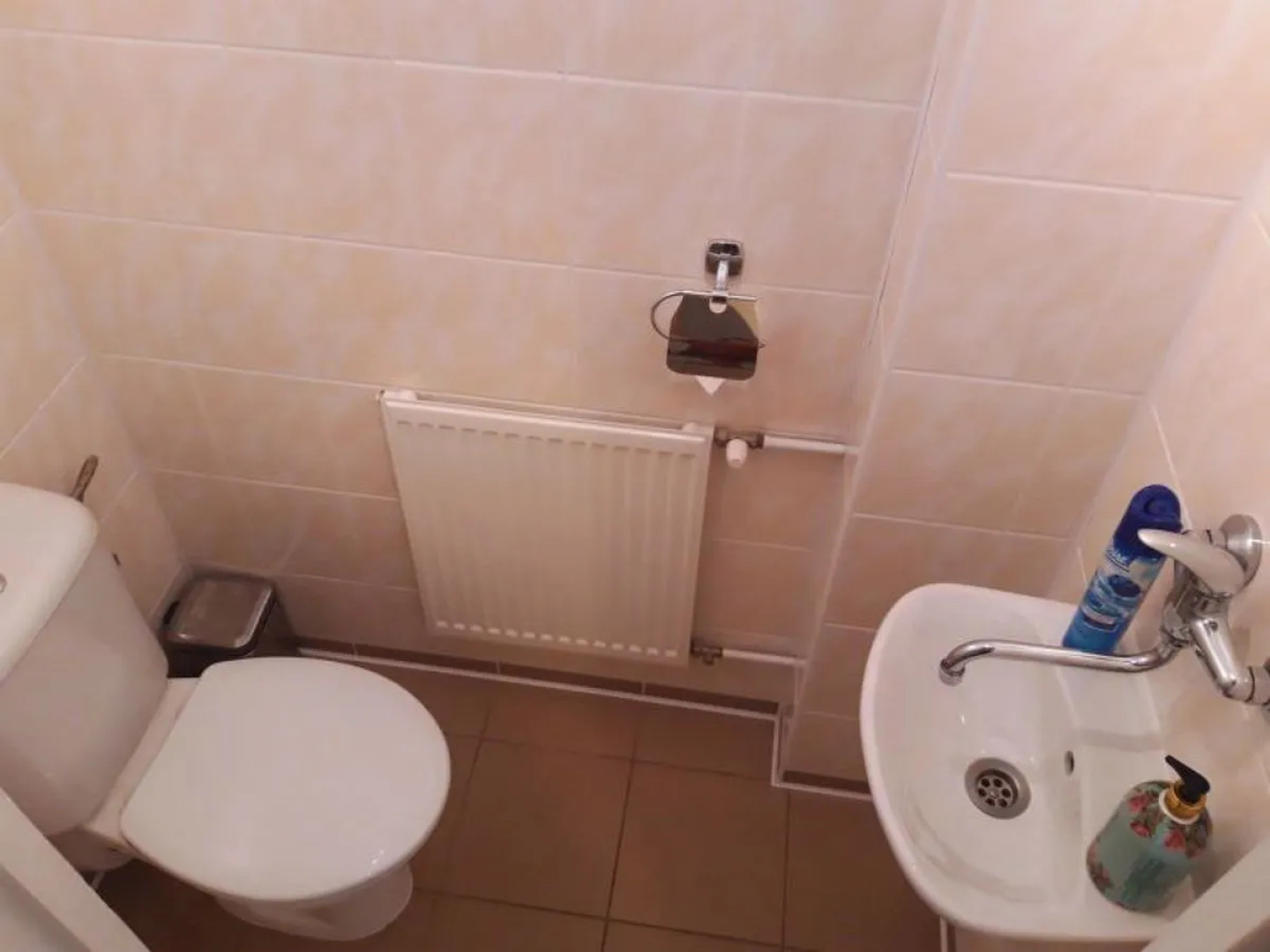 House Lužnice Tyn nad Vltavou