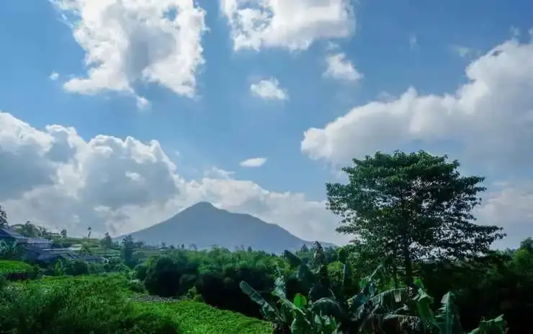 Urbanview Hotel Mountain Palace Kopeng