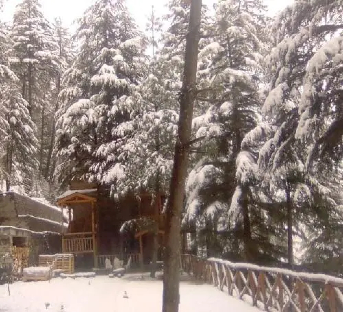 Kudrat A Boutique Homestay