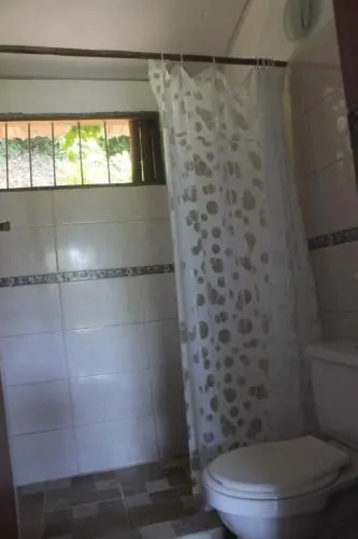 Jaguar Azul Palomino