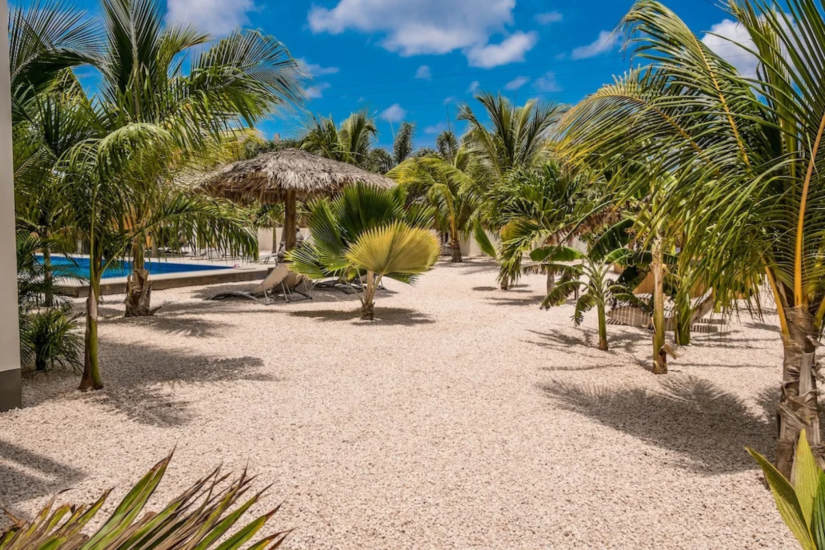 BEACHES ocean view apartments