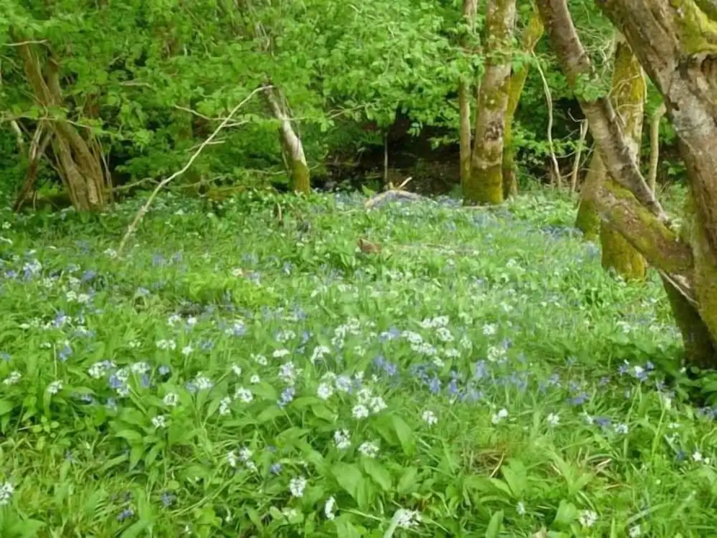 Hendre Aled Farmhouse