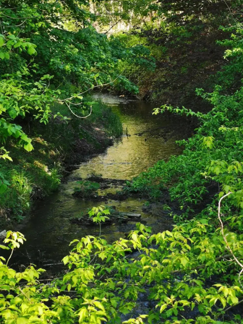 Ferienwohnung in der Ciderwirtschaft