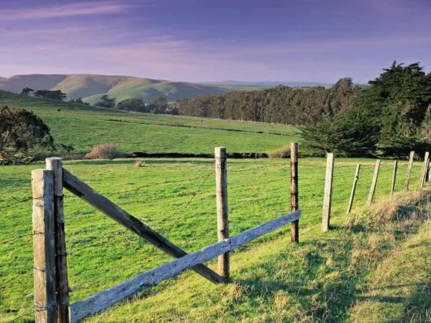 Courtyard by Marriott Novato Marin Sonoma