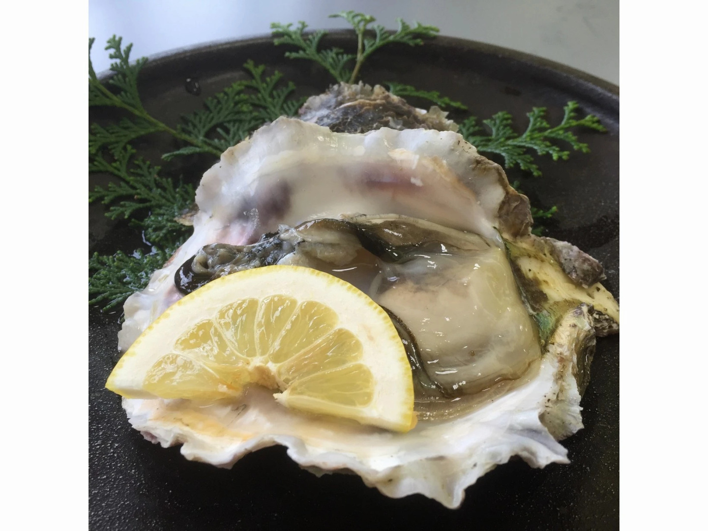 Hamamura Onsen Totoya