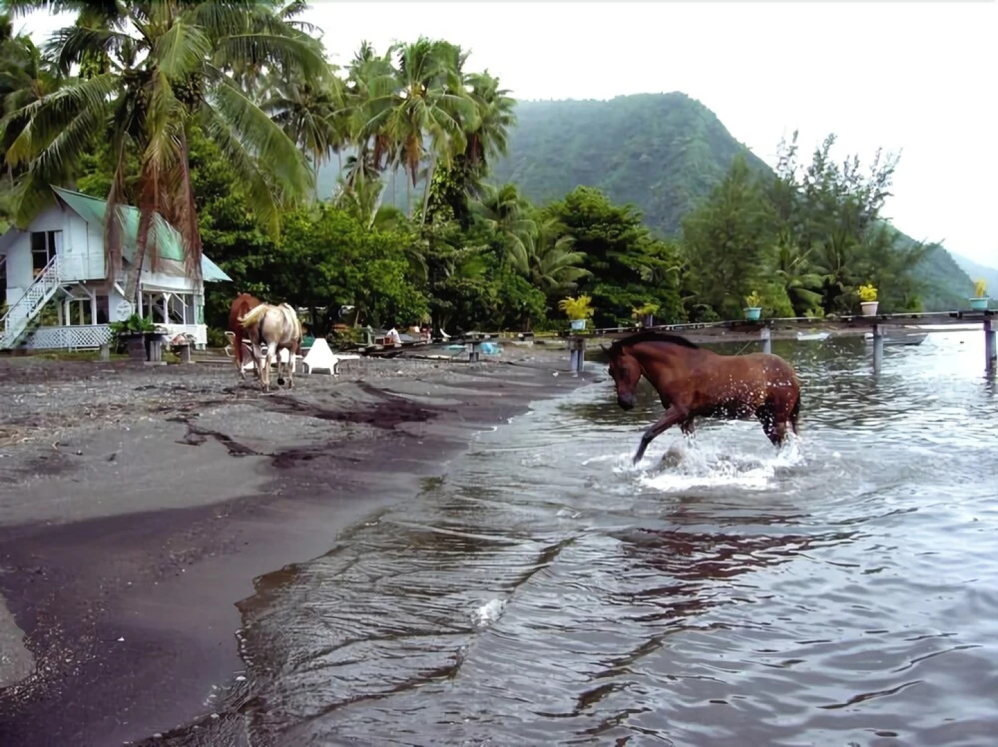 Bonjouir Lodge Paradise