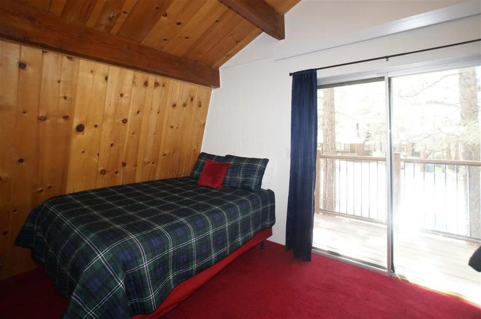 A Sleepy Bear's Hideaway