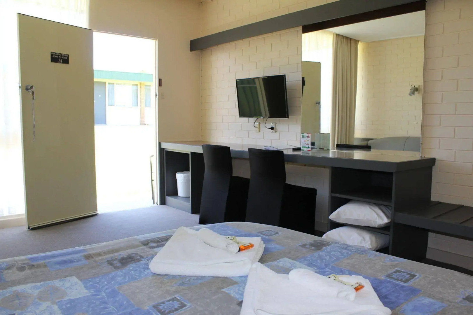 Sandpipers at Millicent