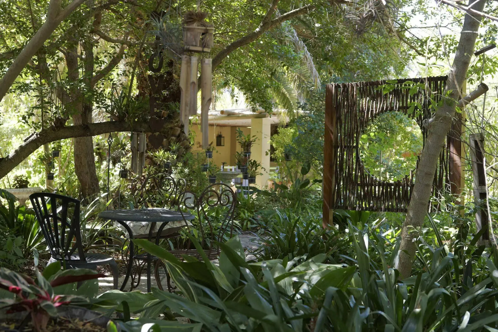 Yellow Aloe Guesthouse