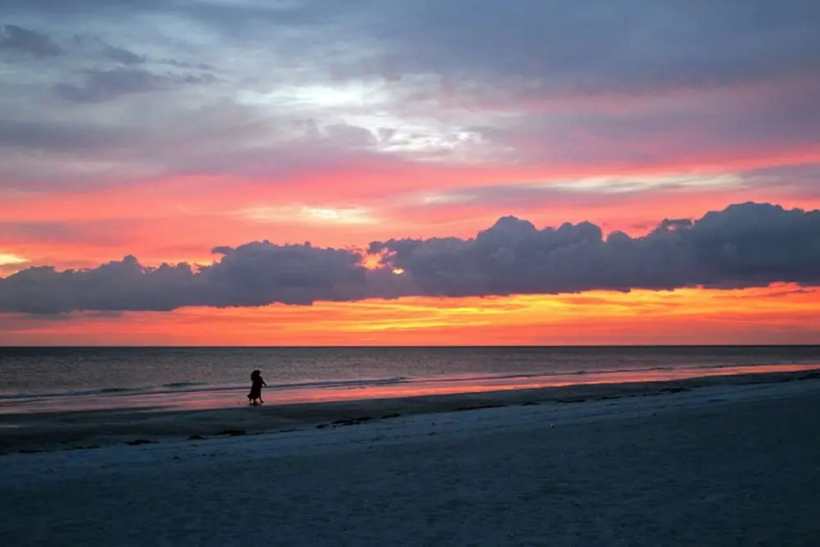 Peaceful Egret Pool Home in Venice