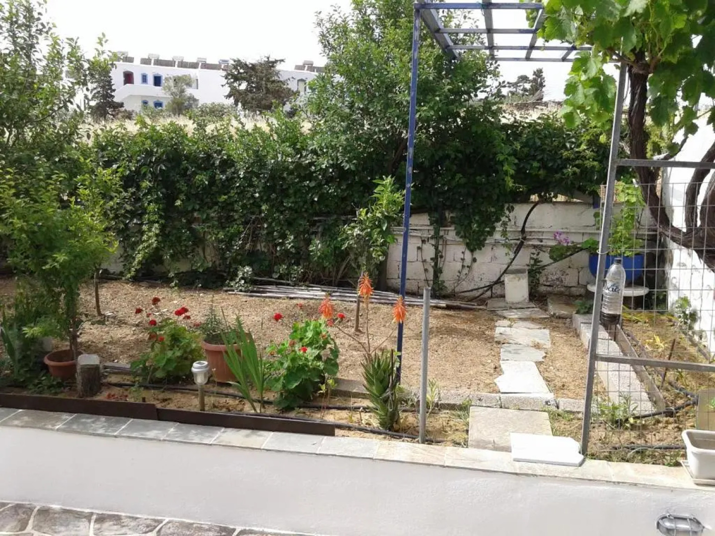 Prombona Petrino Spiti Studios