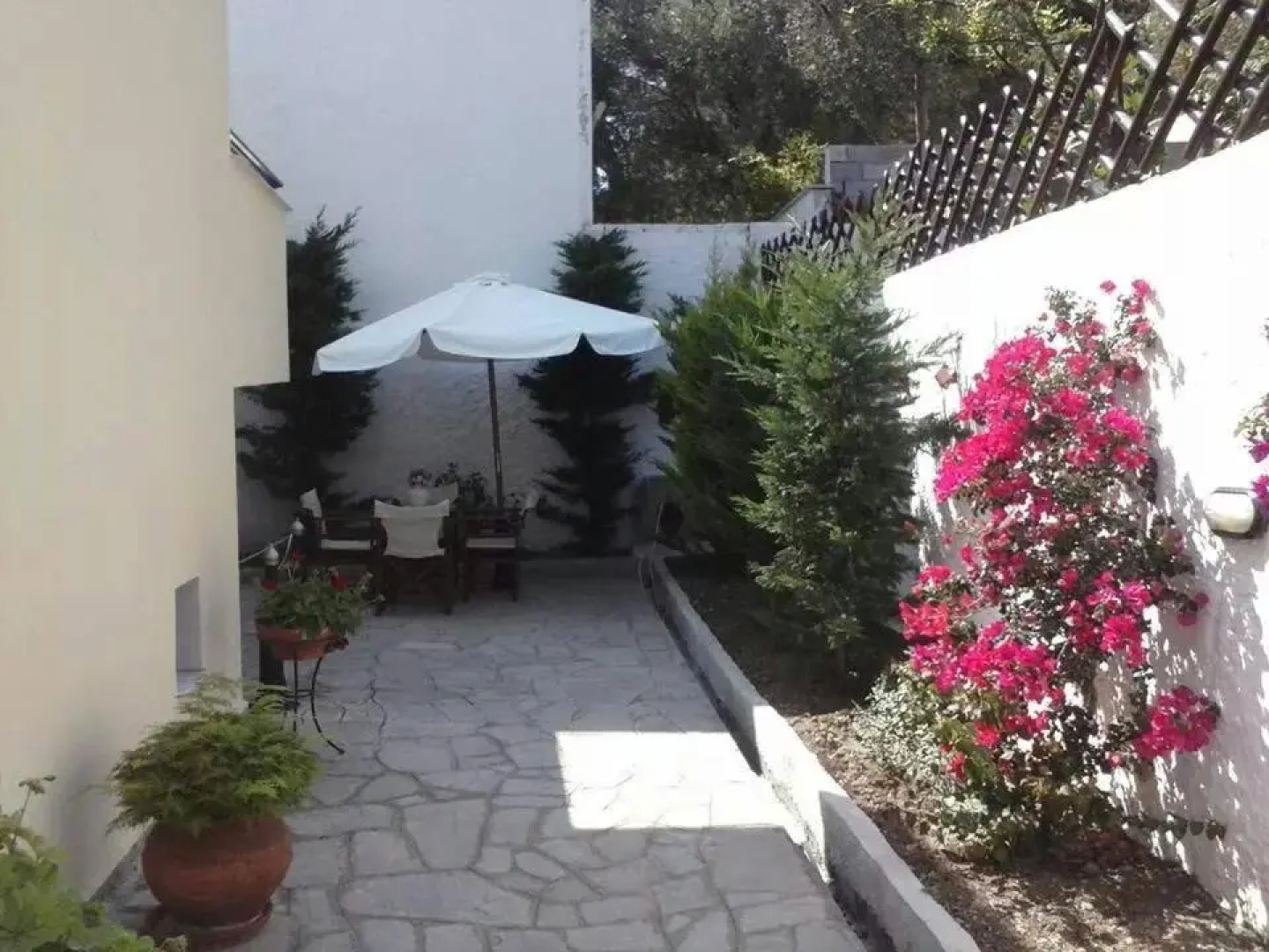 Ianos
