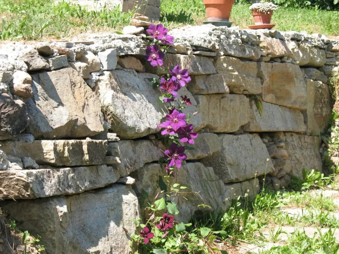 Residence Joy Center