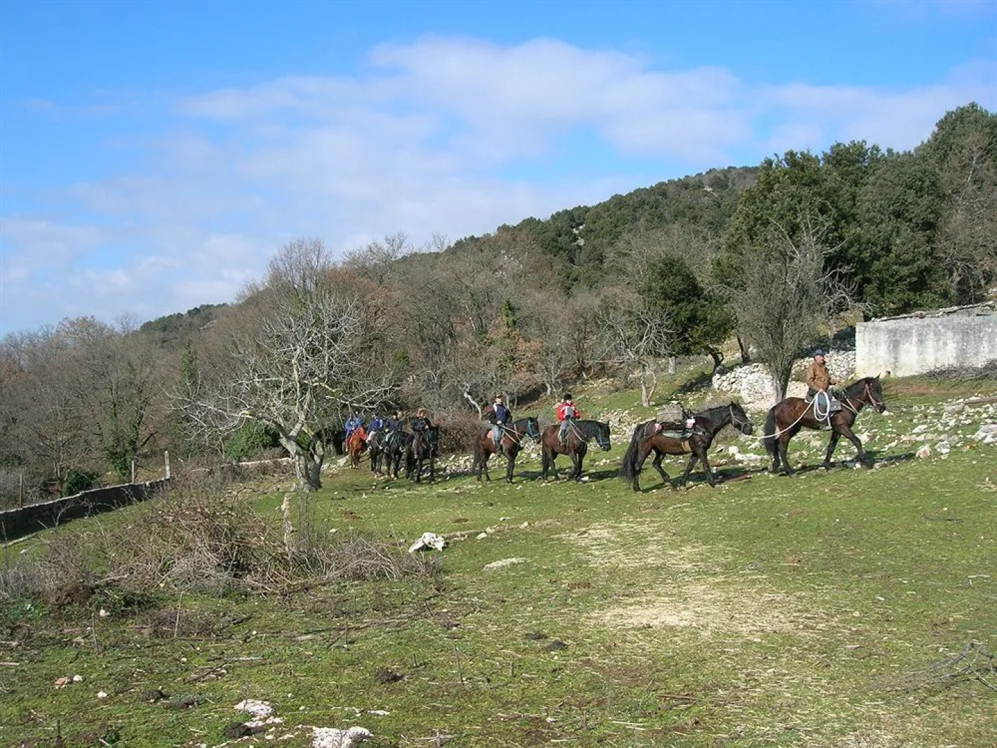 Hotel Menta e Rosmarino