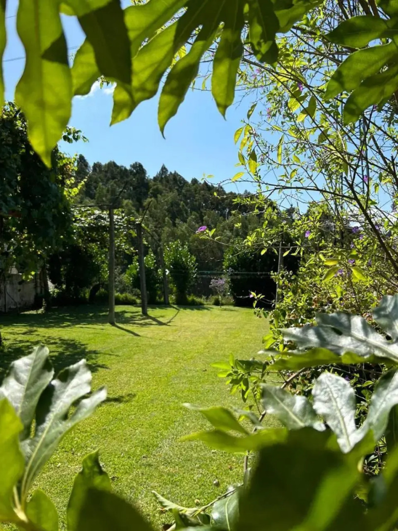 Fontainha House & SPA