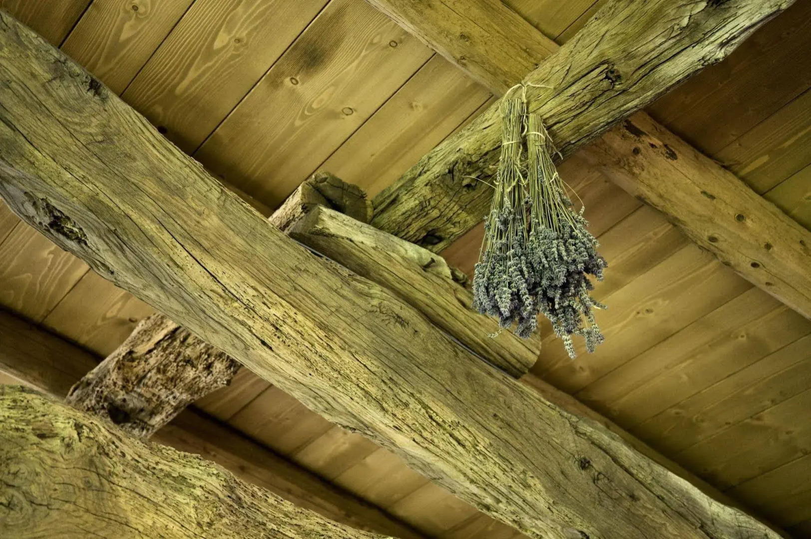 Oasi di Galbusera Bianca