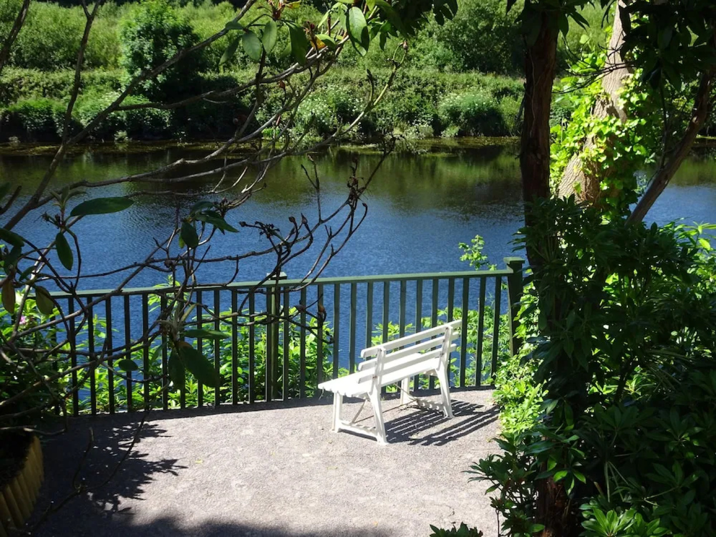 The Grove Lodge Guesthouse & Country Club