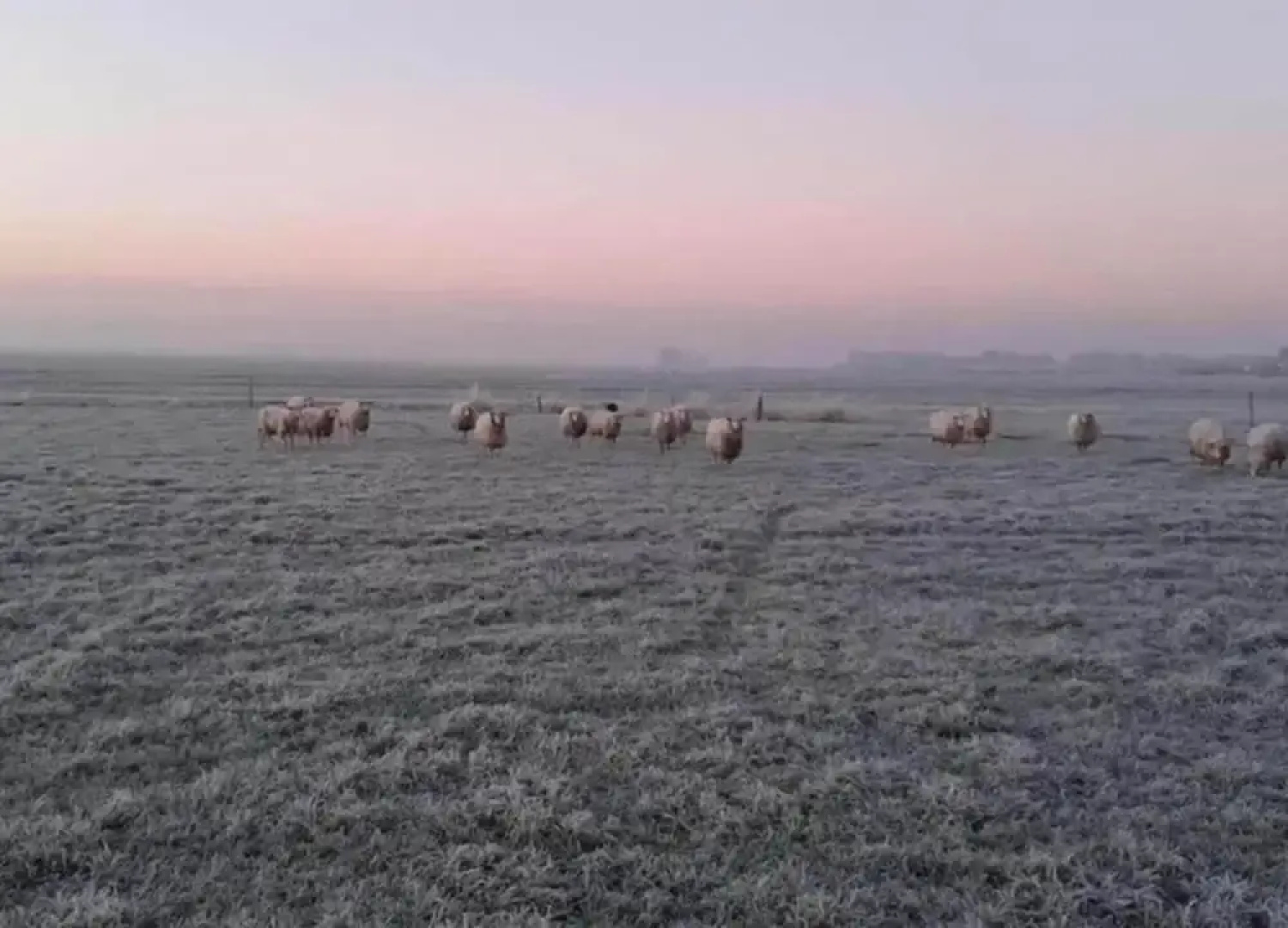 Lakeside Farm Stay, Friesland