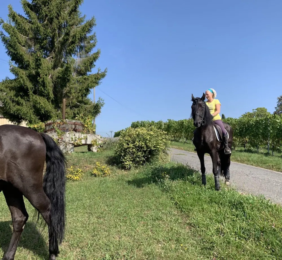 Stunning 6-bed Villa in Etoy