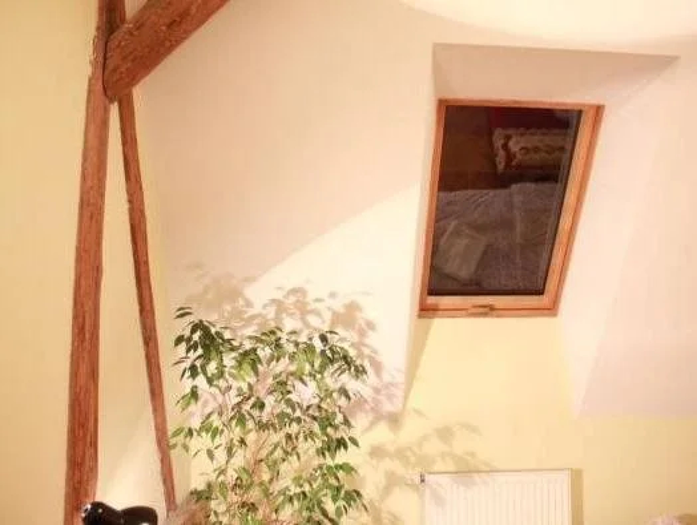 Family House