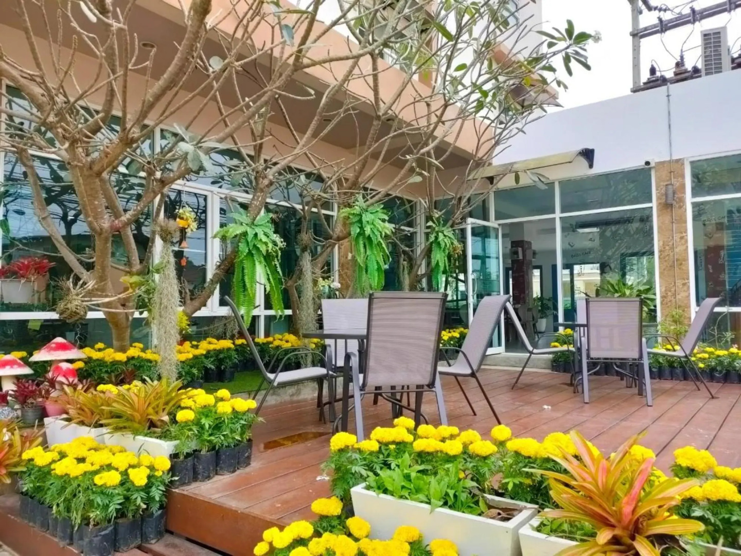 The Bliss Loei Living