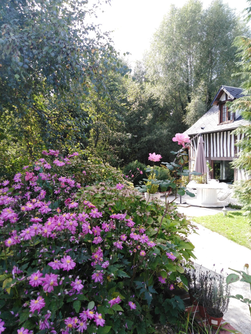 Le Moulin Des Roses