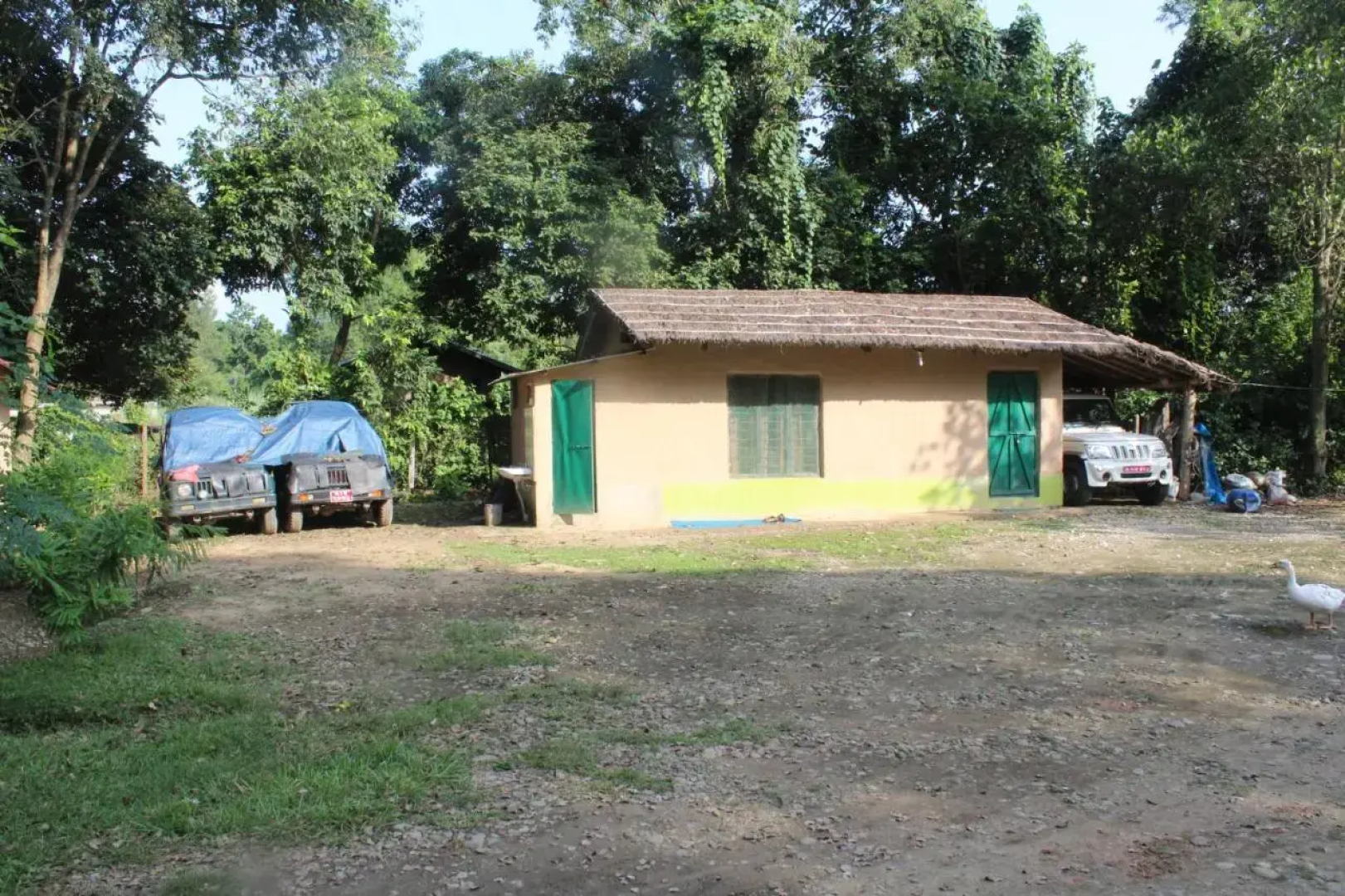 Suklaphanta Jungle Cottage