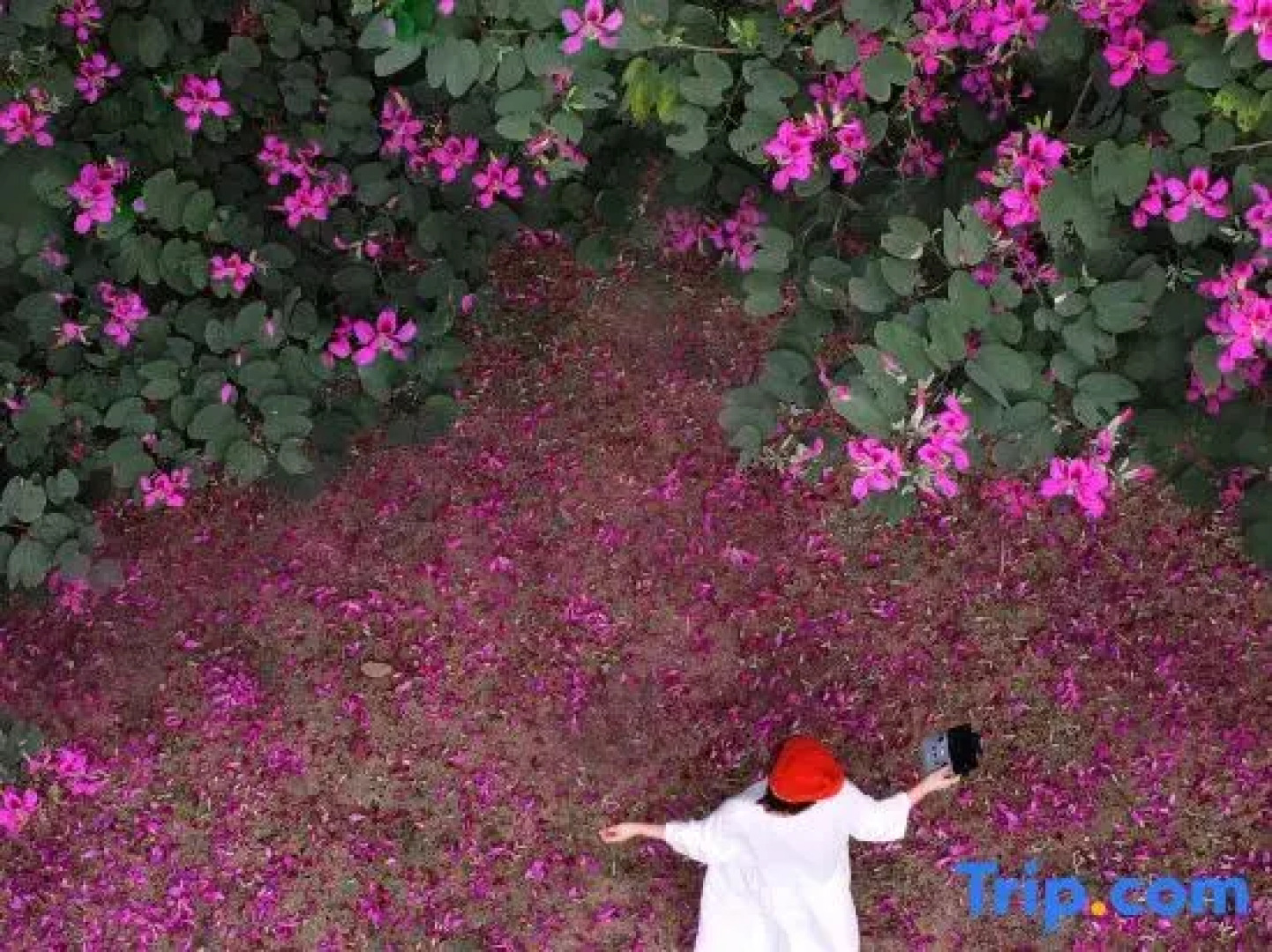 Xikang Wellness&Resort Hainan