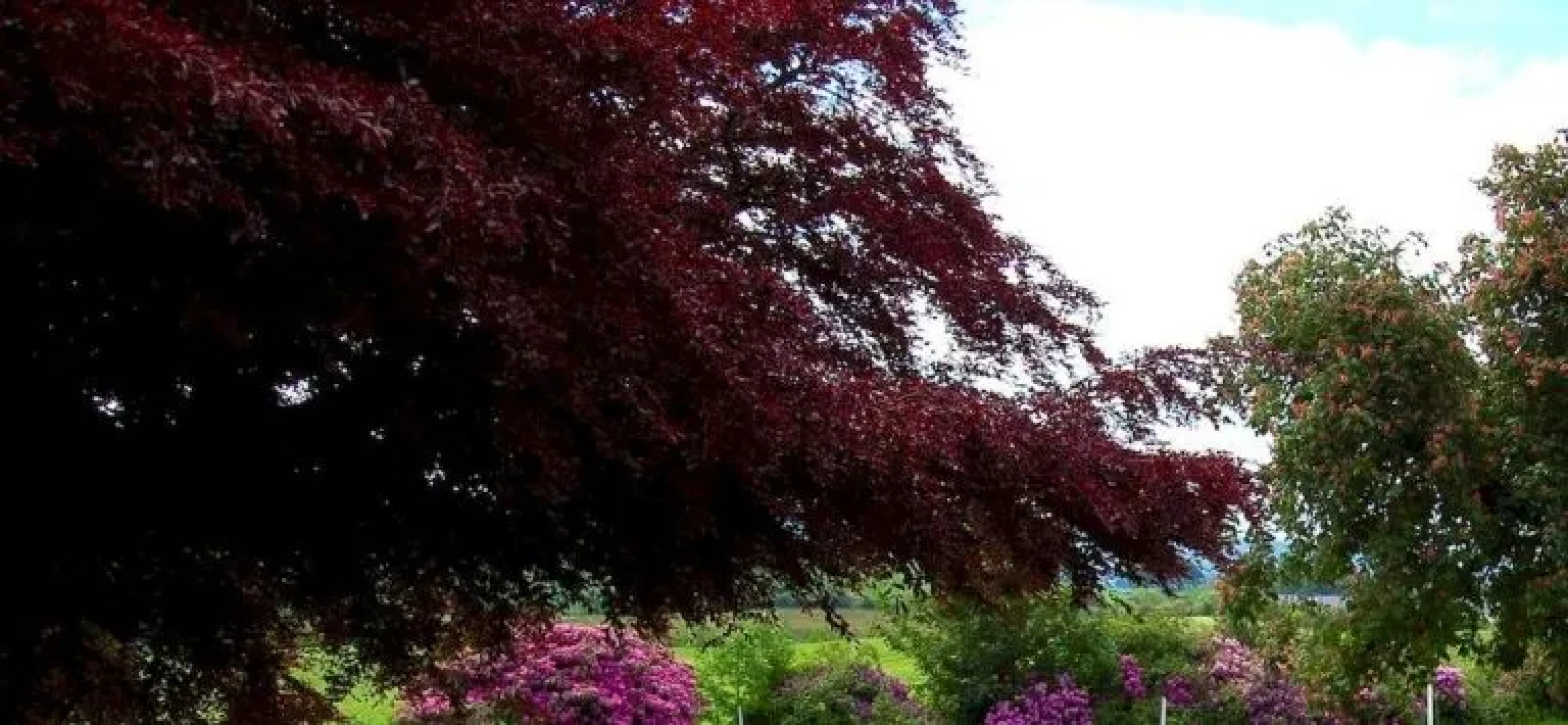 The Urr Valley Country House Hotel