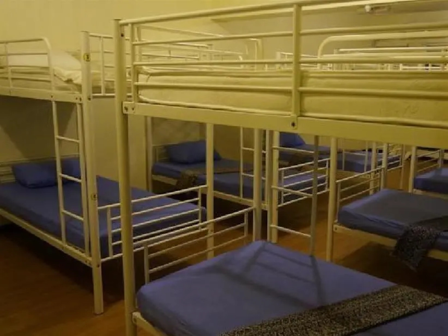 Best Bunk Beds Lodge