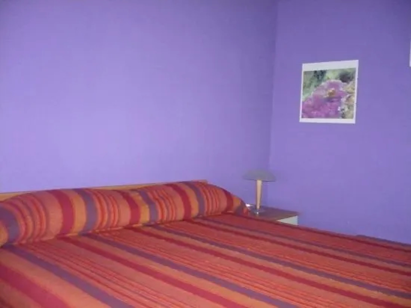 Affittacamere La Capannina